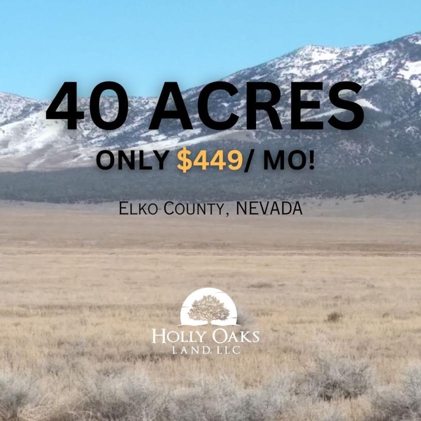  40 Acres for Sale in Montello, Nevada