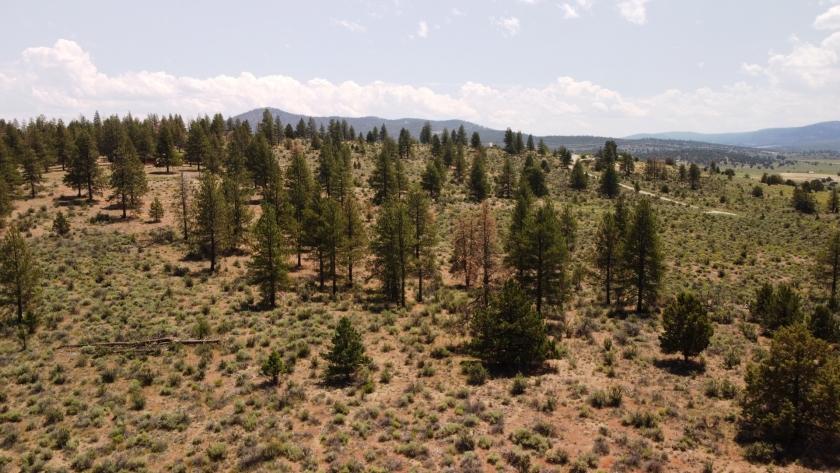 1.49 Acres for Sale in Beatty, Oregon