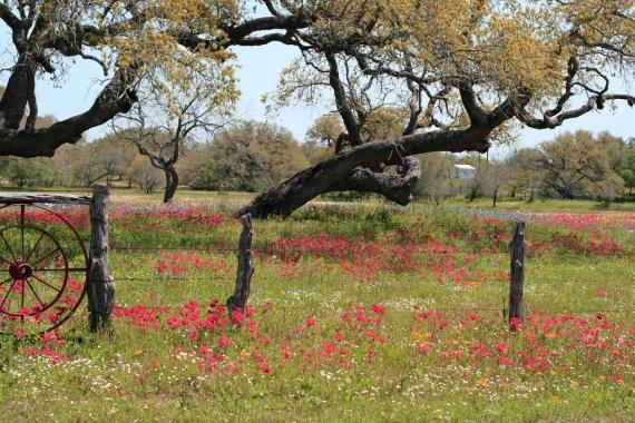 City Spotlight: Mineola, Texas. Finding and Buying Land
