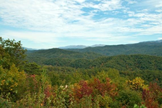 Crossville, Tennessee Acreage: Your Land-Buying Guide