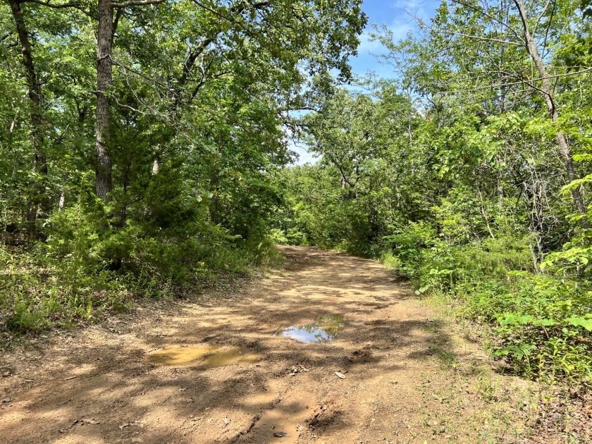 0.13 Acres for Sale in Lincoln, Missouri