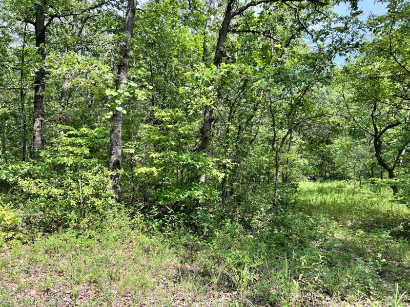  0.07 Acres for Sale in Lincoln, Missouri