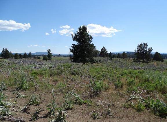  20.00 Acres for Sale in Chiloquin, Oregon