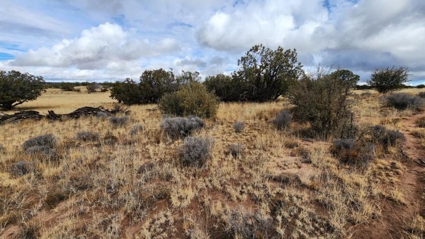  1.04 Acres for Sale in Chambers, Arizona