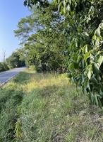  3.6 Acres for Sale in Williamstown, Kentucky