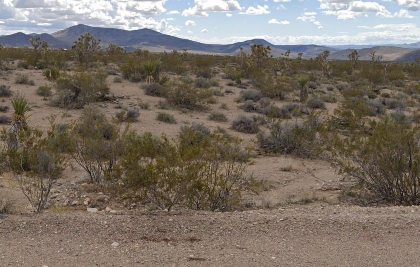  1.03 Acres for Sale in Meadview, Arizona