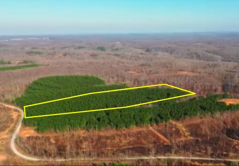  18.04 Acres for Sale in Stewart, Tennessee