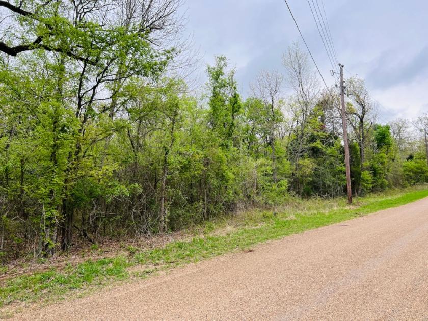  0.25 Acres for Sale in Malakoff, Texas