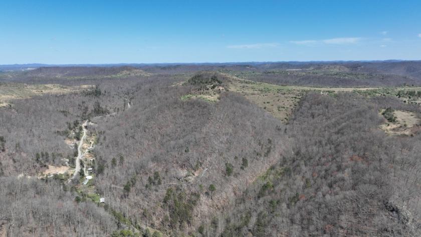  113.3 Acres for Sale in Pikeville, Kentucky