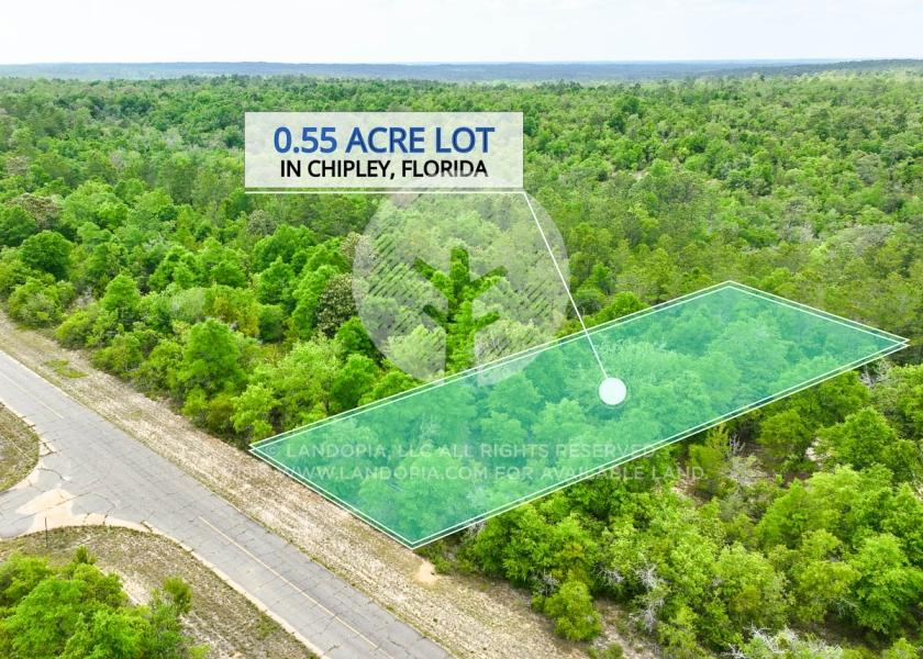  0.55 Acres for Sale in Wausau, Florida