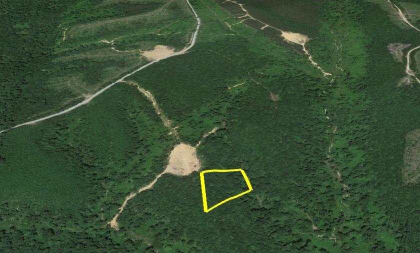  5.99 Acres for Sale in Tennessee Ridge, Tennessee