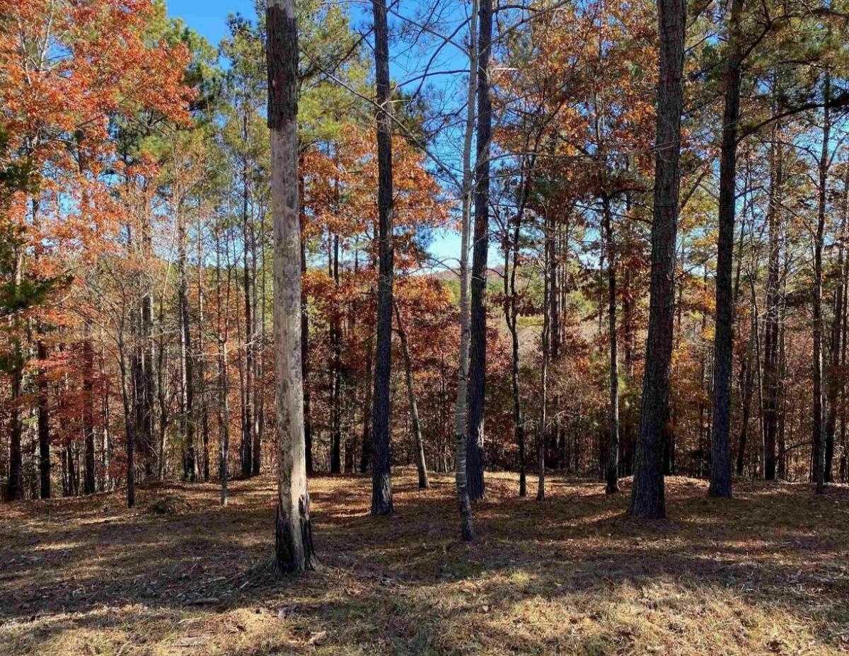  1.1 Acres for Sale in Sunset, SC
