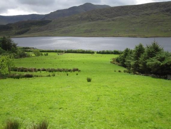 Land Selling Tips: How to Increase Your Land Value before Selling It