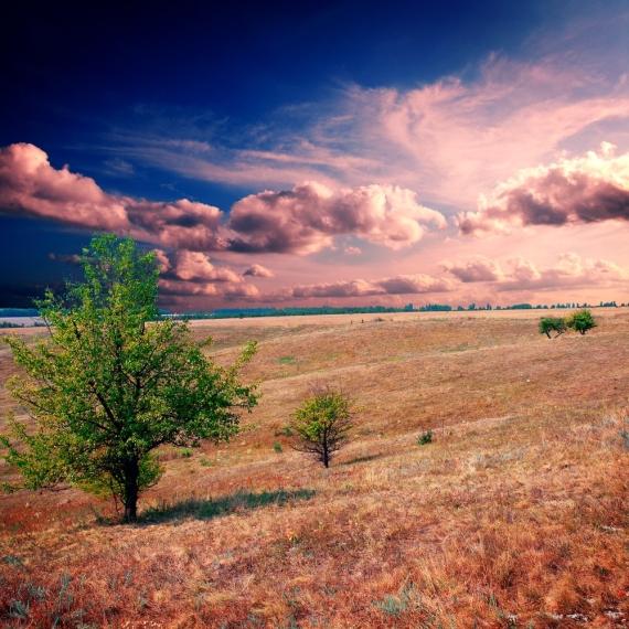 Business Ideas for Vacant Land - How to Create Income Producing Assets