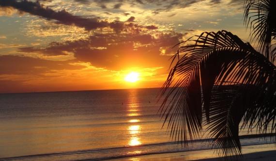 7 Reasons to Buy Cape Coral Acreage