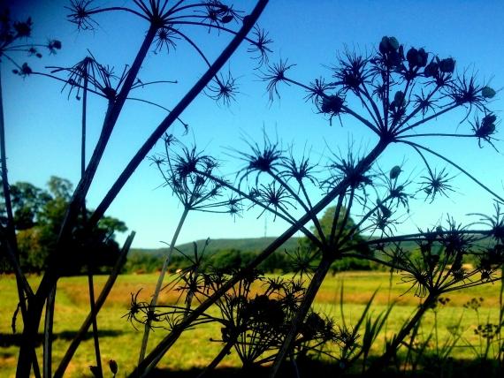 What Do First Time Land Buyers Need to Be Aware Of?