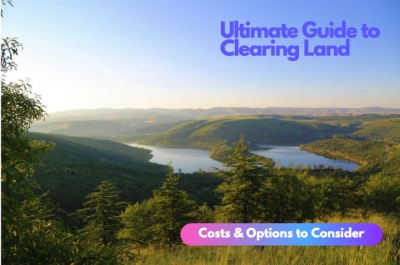 Guide to Clearing Land: Costs & Options to Consider