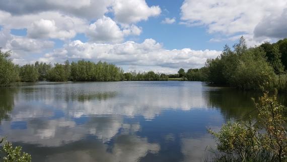 What Are Preserved Lands, And Can They Be Turned Into Commercial Land?