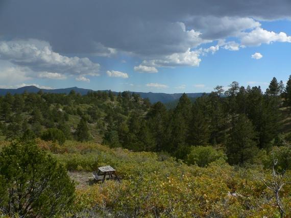 Where to Buy Hunting Acreage in Texas, Iowa, Ohio and Nebraska