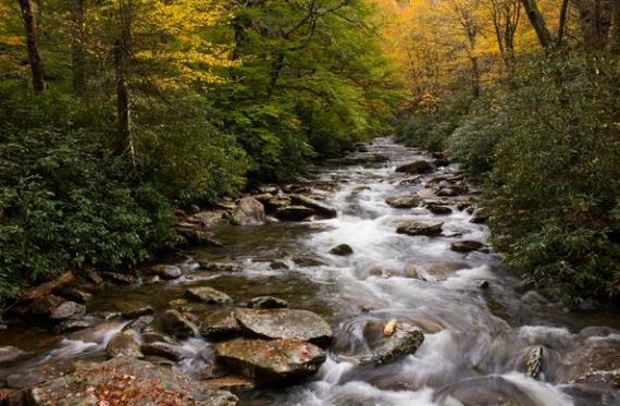 A Few Thoughts To Consider When Looking To Buy Cheap Land For Sale