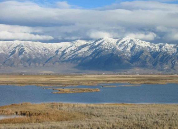 Buying Land: What You Need to Know When Looking For Land for Sale