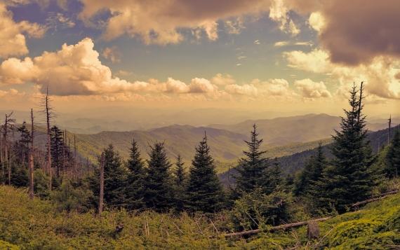 The Top Five Reasons to Make Tennessee Your Home