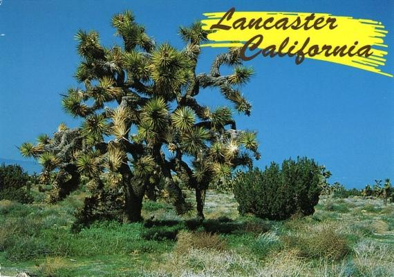 Lancaster CA Land for Sale - The Magic Charm of Lancaster