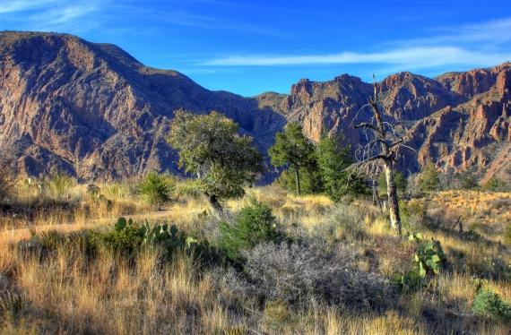 Your Guide to Finding & Buying Vacant Land in Pecos, Texas