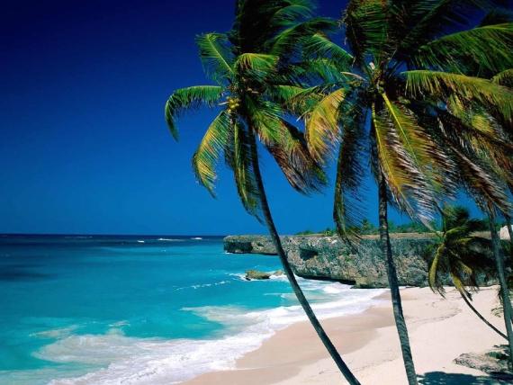 North Port, Florida Land for Sale: Ideal for Investors