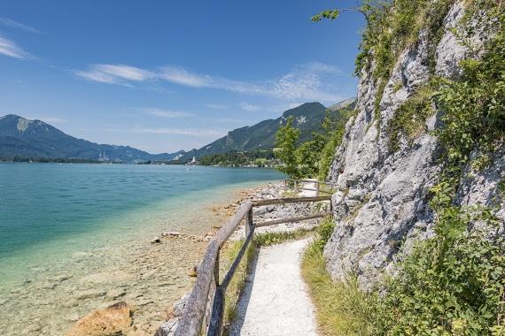 8 Easy Ways to Find Land to Build On