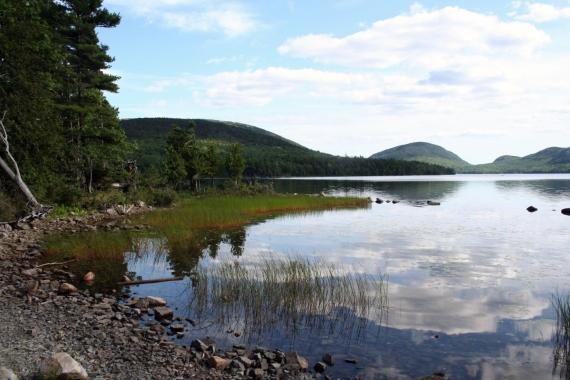 108 ACRES OF LAND NEAR EAGLE LAKE, MAINE IS READY FOR YOU!