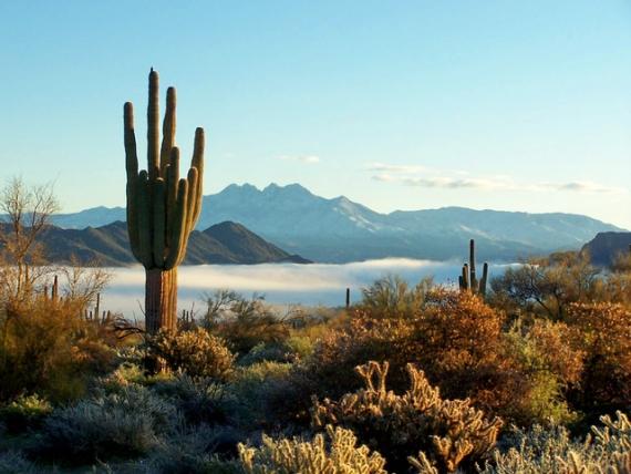 Finding Land for Sale in Arizona