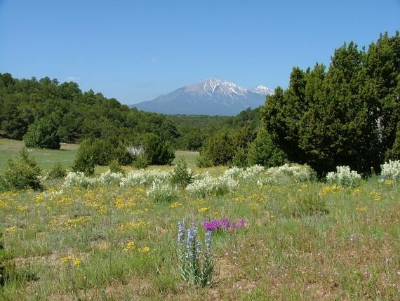 Land for Sale: Knowing Which Opportunity is Your Best Option