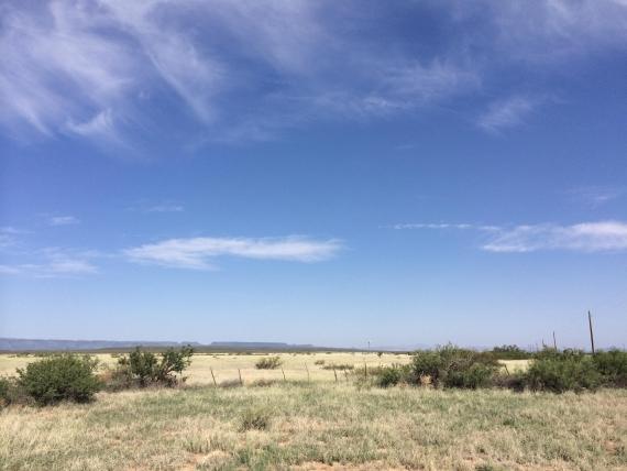 Valentine, Texas Acreage and Lots for Sale