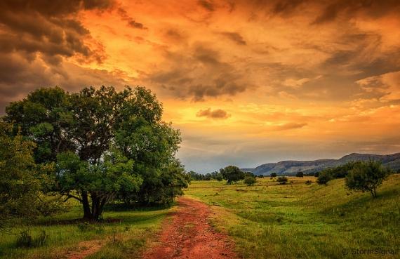 Away from Reality? Rural Land is the Answer