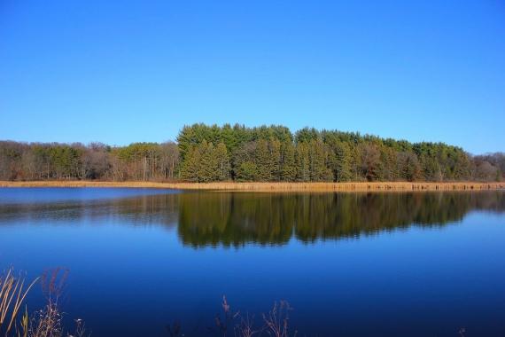 Land for Sale in Wisconsin - Where to Find Affordable Land