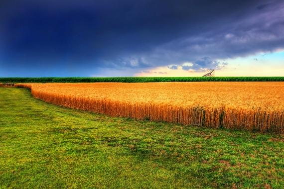 How to Finance a Land Purchase