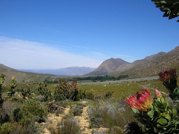 Renting Out Land - How Much Can You Be Making