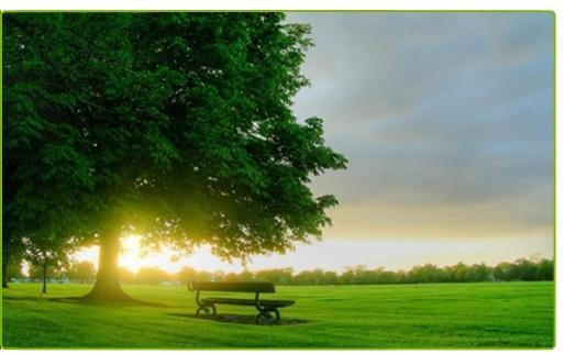 4 Essential Pointers When Looking For Residential Land for Sale