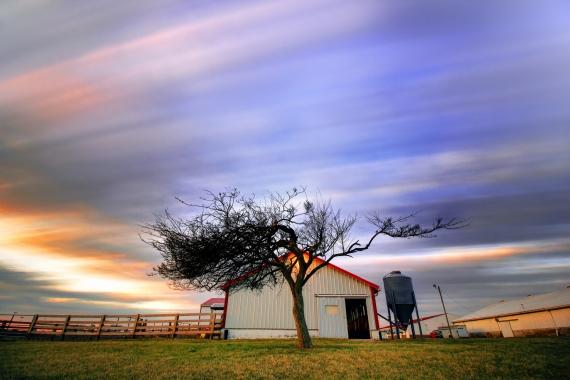 Agricultural Land for Sale - Where Is It Best To Purchase?