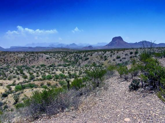 Land for Sale in Coldspring, Texas: A Small Town with Great Potential