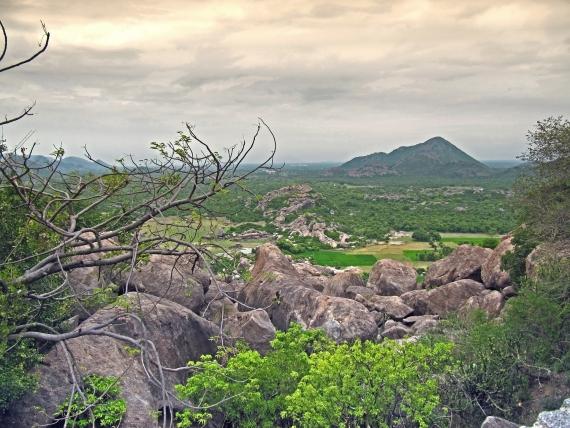 What Type of Land Is the Cheapest Option You Can Get?