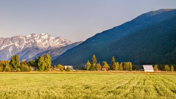 Rural Investments: Finding the Best Value Farmland