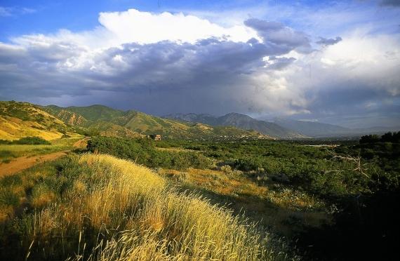Land for Sale in Utah: A State With Geographical Diversity