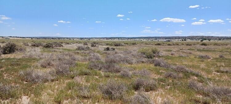 1 Acres for Sale in Sanders, Arizona