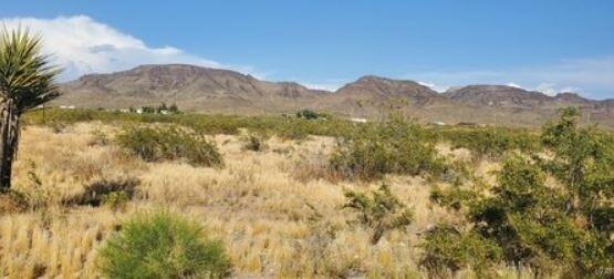 1 Acre for Sale in Meadview, AZ