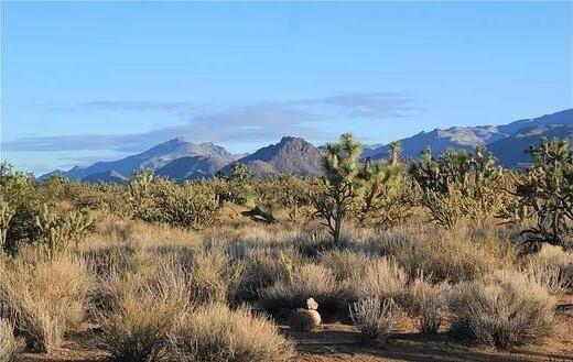 1-Acre Agricultural Land for Sale in Meadview, AZ - $75/mo Owner Financing