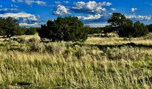 2.62 Acres for Sale in Saint Johns, Arizona