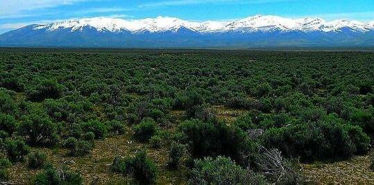10 Acres for Sale in Wells, NV