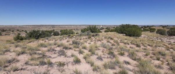 2.38-Acre Agricultural Land for Sale in Holbrook, AZ - $129/mo Owner Financing